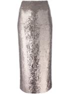 Iro Flared Metallic (grey) Dress, Women's, Size: 38, Polyester/viscose/spandex/elastane/cotton