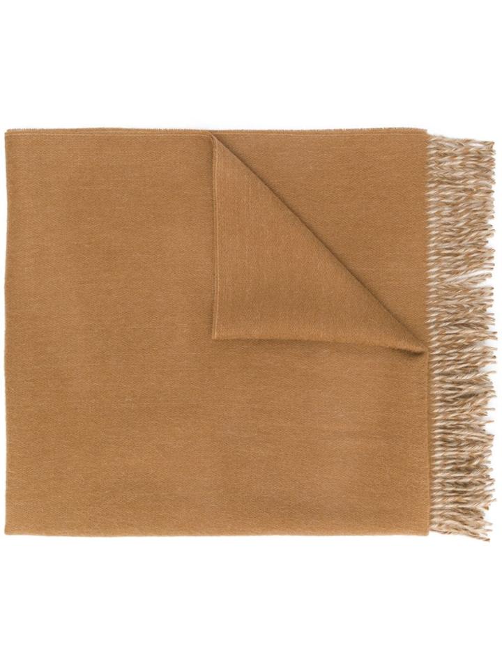 Max Mara Fringed Edge Scarf - Brown
