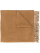 Max Mara Fringed Edge Scarf - Brown