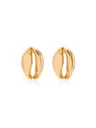 Tohum Concha Puka Earrings - Gold