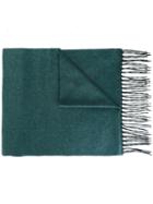 Canali Fringed Scarf, Men's, Green, Silk/cashmere