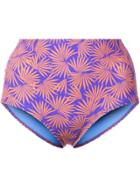 Dvf Diane Von Furstenberg Tropical Print Bikini Bottoms - Pink &