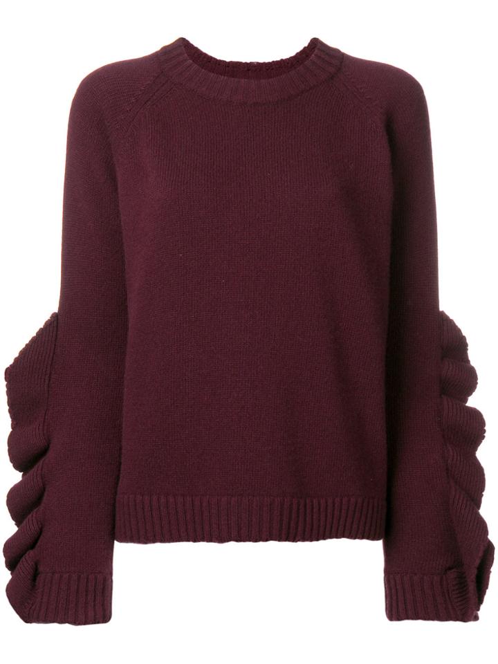 Red Valentino Ruffle Sleeve Jumper