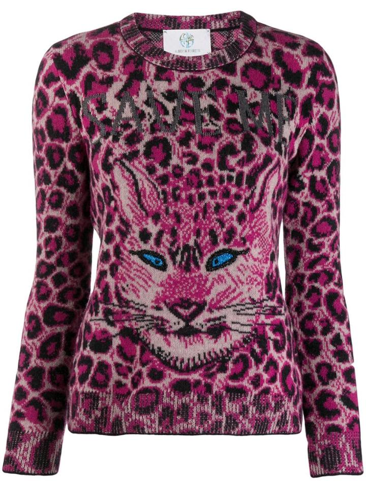 Alberta Ferretti Cat Print Jumper - Pink