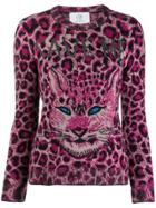 Alberta Ferretti Cat Print Jumper - Pink