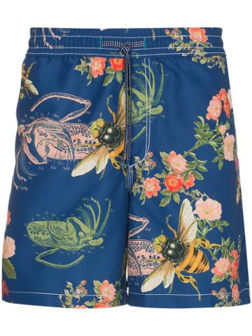 Riz Blue Swim Shorts With Bee Print