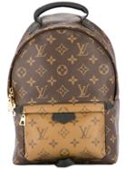 Louis Vuitton Vintage Palm Springs Backpack Pm Bag - Brown