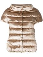 Herno Velvet Short Sleeve Padded Jacket - Neutrals