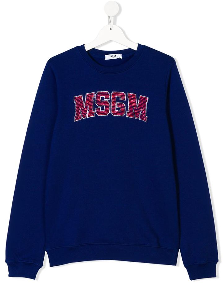 Msgm Kids Logo Sweatshirt - Blue