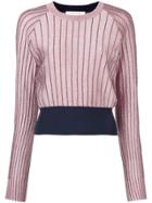 Cédric Charlier Sparkly Knit Striped Sweater - Pink