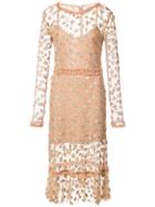 For Love And Lemons Insect And Butterfly Embroidered Dress - Nude &