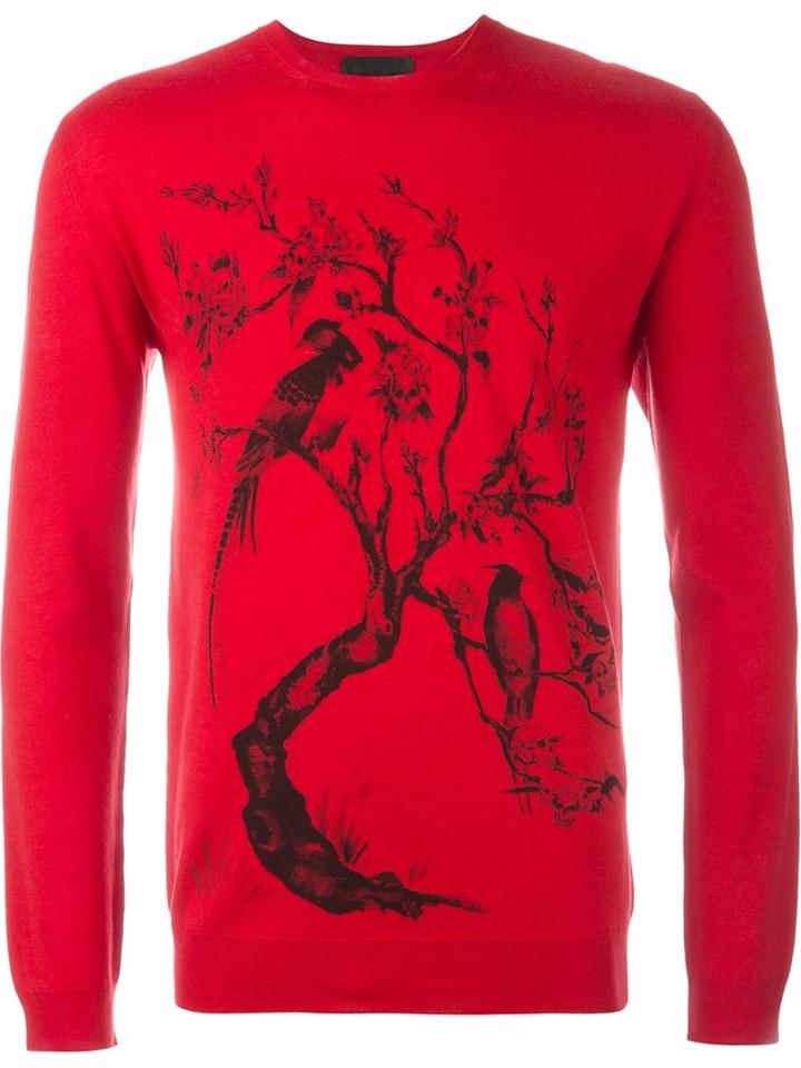 Alexander Mcqueen Bird And Skull Intarsia Sweater