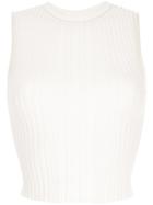 Dion Lee Opacity Pleated Top - White