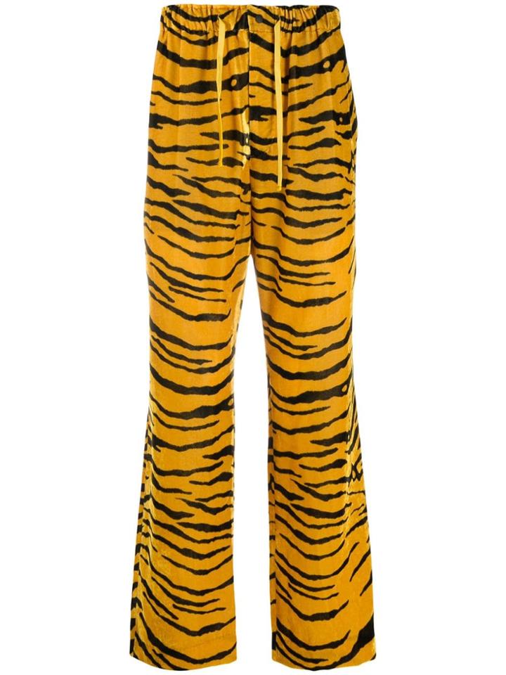Needles Tiger Print Velvet Track Pants - Yellow