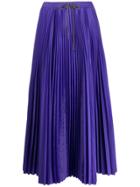Tela Drawstring Flared Pleated Skirt - Purple