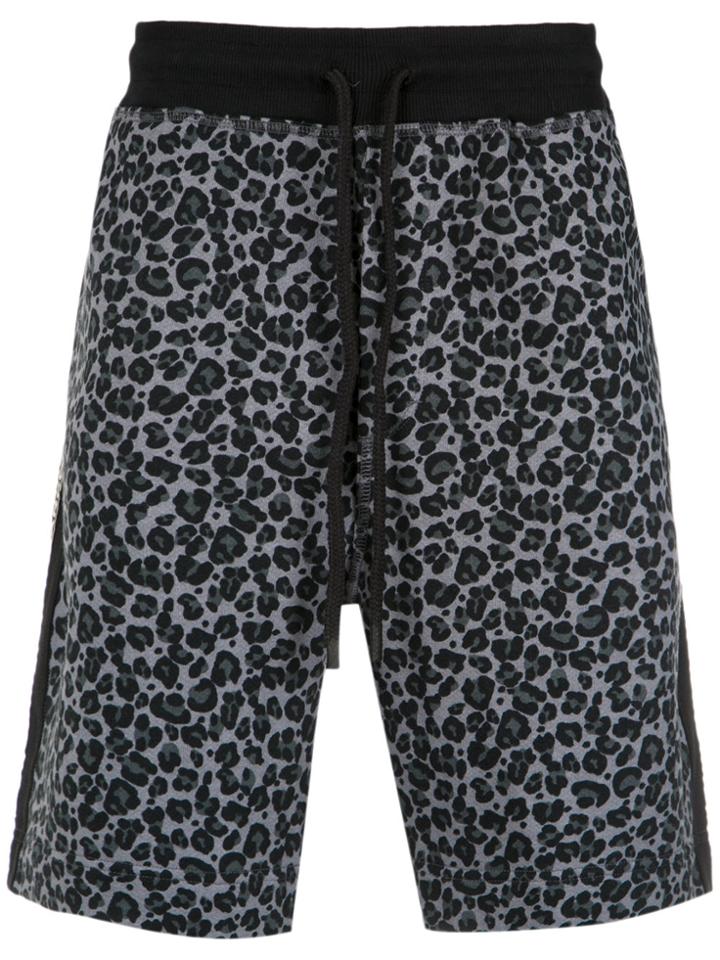 À La Garçonne Animal Print Sweat Bermuda Shorts - Black