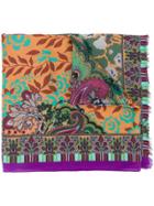Etro Paisley Stripe Patterned Scarf - Brown