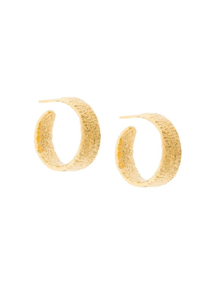 Lucy Folk Anchovy Hoop Earrings - Metallic
