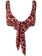 Stella Mccartney Leopard-print Bikini Top - Pink