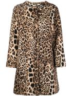 Clips Leopard Print Square Neck Coat - Brown