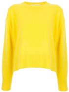 Le Ciel Bleu Crew Neck Knit Top - Yellow