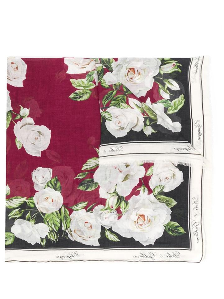 Dolce & Gabbana Rose Print Scarf - White
