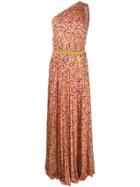 Elisabetta Franchi Floral Chain Detail Pleated Gown - Pink