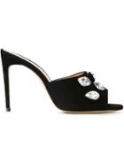 Bionda Castana 'bianca' Mules