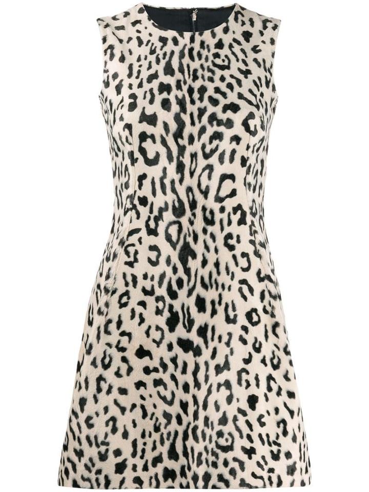 Dolce & Gabbana Animal Print Flared Mini Dress - Neutrals