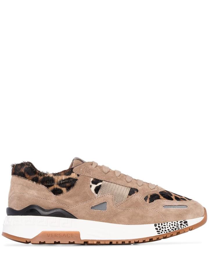 Versace Achilles Leopard Print Sneakers - Brown