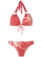 Brigitte Brigitte 29b41e Estampa Polyamide/spandex/elastane - Red