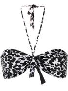 Fisico Leopard Print Halter Neck Bikini Top - Black