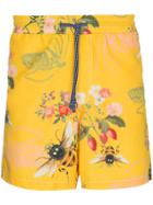 Riz Yellow Swim Shorts With Bee Print - Yellow & Orange
