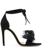 Alexandre Birman Crenoline Bow Pumps - Black