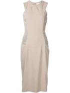 Esteban Cortazar Fitted Panel Dress, Women's, Size: 40, Nude/neutrals, Acetate/polyamide/spandex/elastane