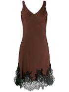 Gold Hawk Midi Lace Slip Dress - Brown