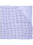 Pal Zileri Floral Print Scarf - Blue