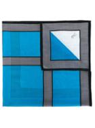 Roberta Di Camerino Vintage Printed Scarf, Adult Unisex, Blue