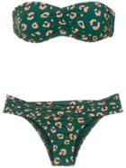 A.brand Biquini Tqc Franzido Onça - Est Onça Blue Fundo Verde - Green