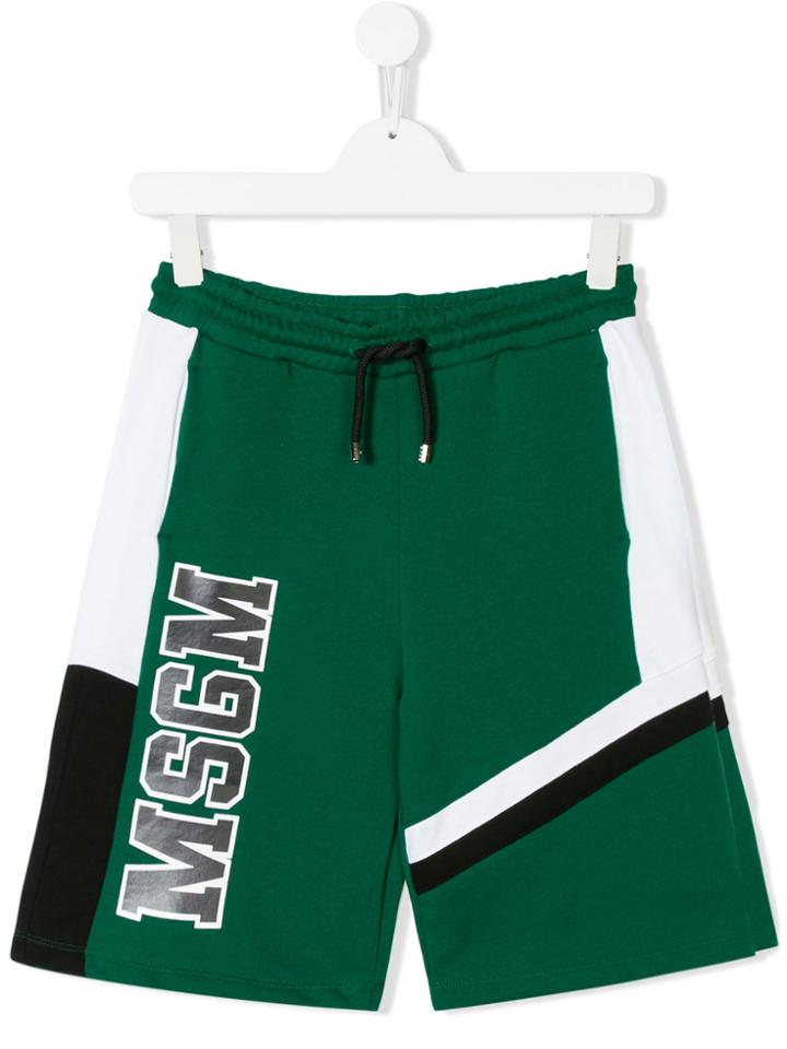 Msgm Kids Logo Track Shorts - Green