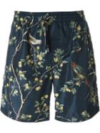 Dolce & Gabbana Bird Print Swim Shorts, Men's, Size: 5, Blue, Polyamide/polyester