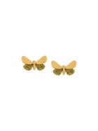 Astley Clarke Cinnabar Moth Earrings - Metallic