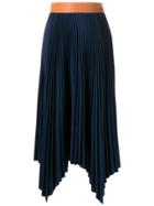 Loewe Pleated Maxi Skirt - Blue