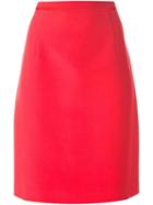 Giambattista Valli A-line Skirt