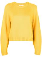 Milly Crew Neck Jumper - Yellow