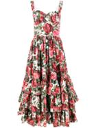 Dolce & Gabbana Sleeveless Rose (pink) Print Dress, Women's, Size: 36, Cotton