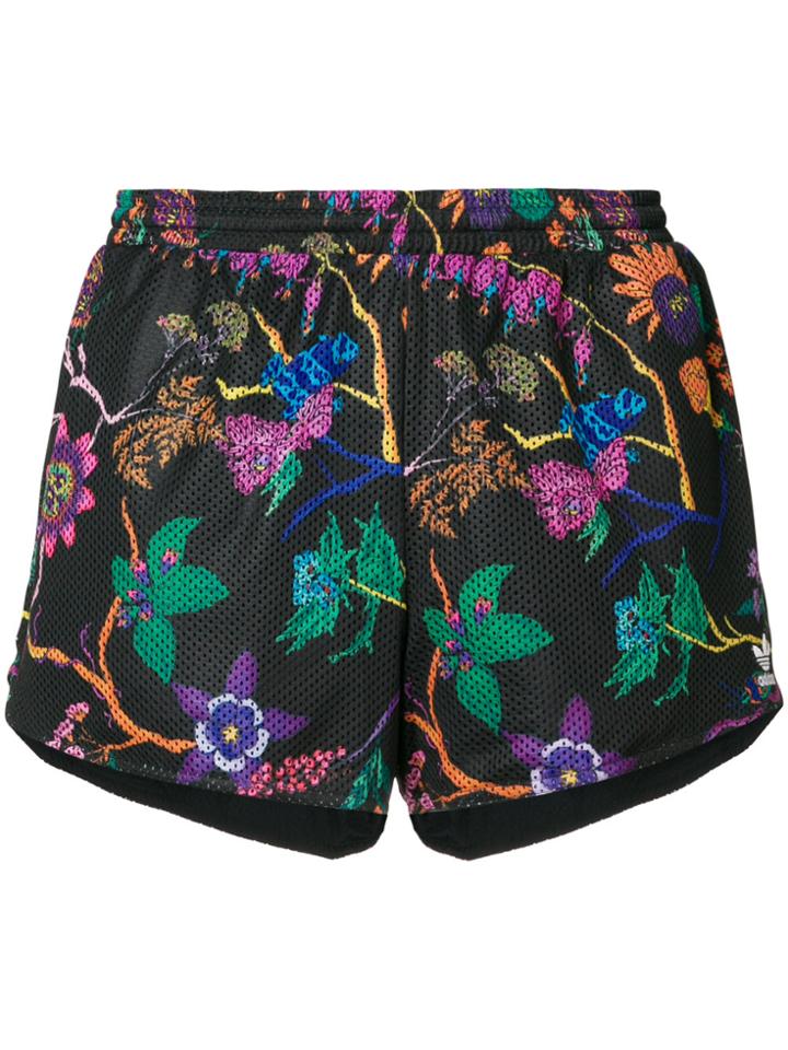Adidas Floral Track Shorts - Black