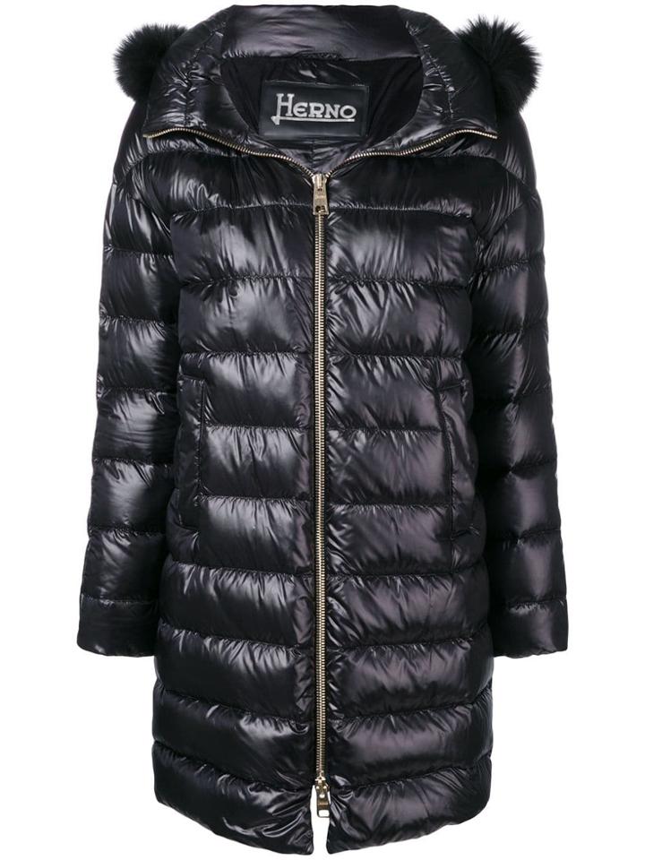 Herno Zipped Up Padded Coat - Black