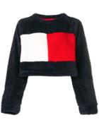 Tommy Hilfiger Cropped Logo Sweatshirt - Blue