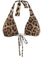 Dolce & Gabbana Halterneck Leopard Bikini Top - Neutrals